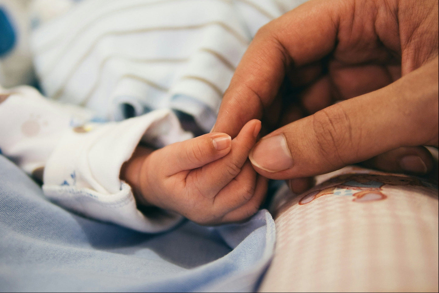 Close-up of a baby's hand held by an adult's hand, with a blurred background.